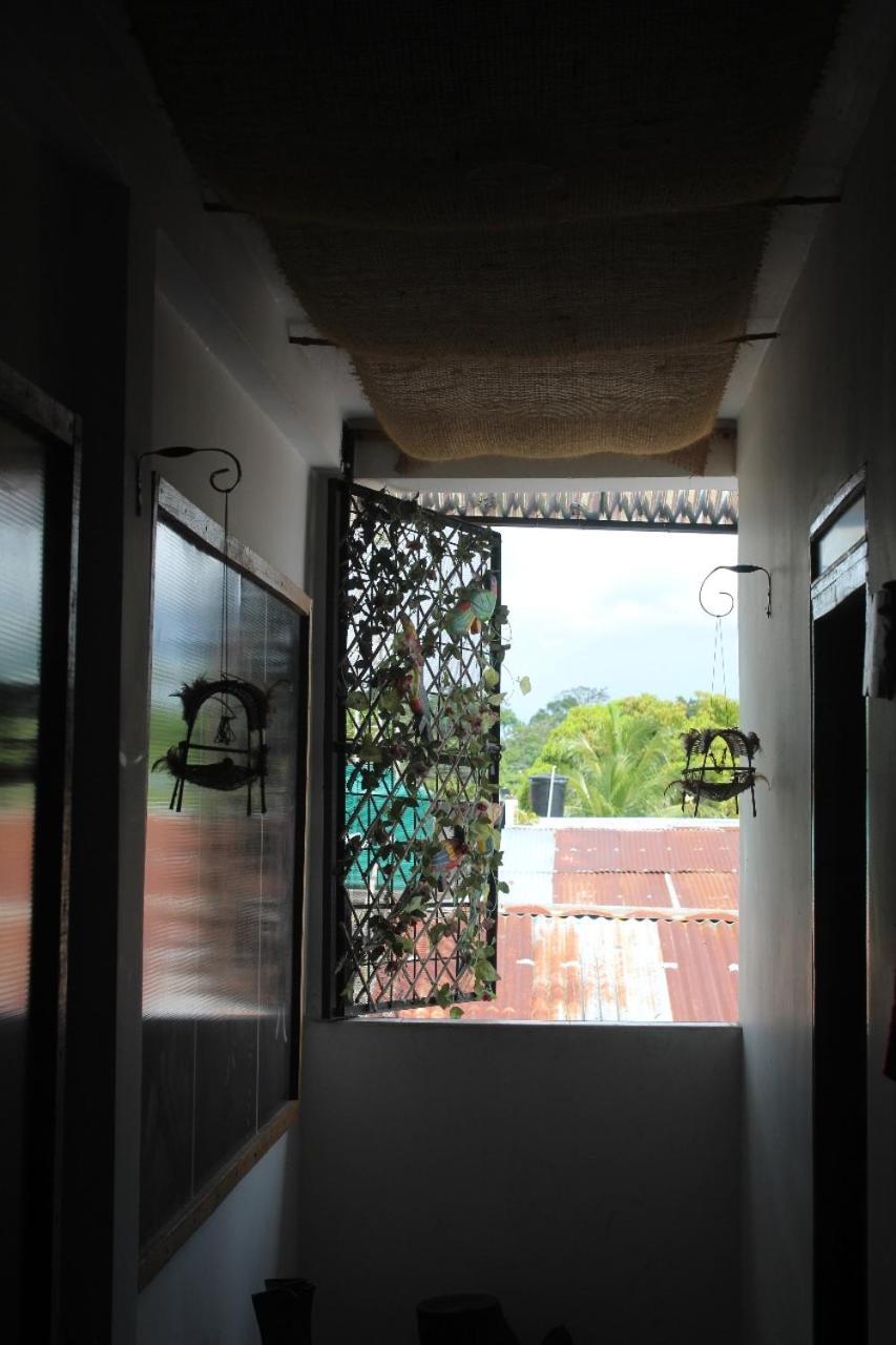 Hotel Gavas Amazonas Leticia Exterior photo